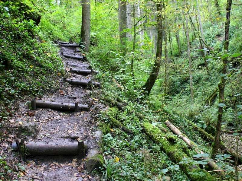 La Selva Negra es el lugar perfecto para hacer senderismo en Alemania