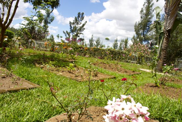 Jardín de rosas conmemorativo en el Centro Conmemorativo del Genocidio de Kigali en Ruanda