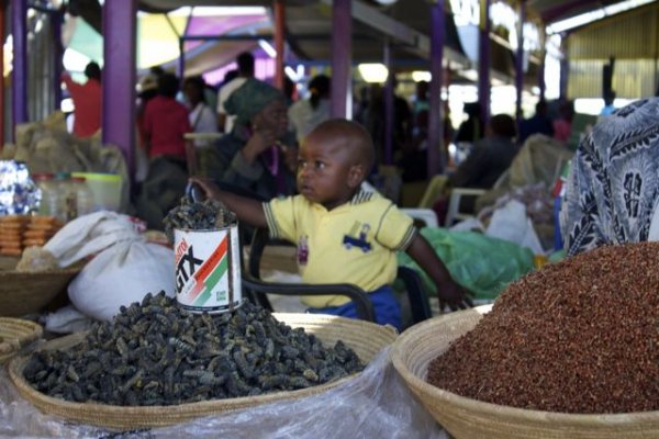 Un niño pequeño ayuda a su madre a servir Mopane (gusanos) en el Single Quarter de Windhoek.