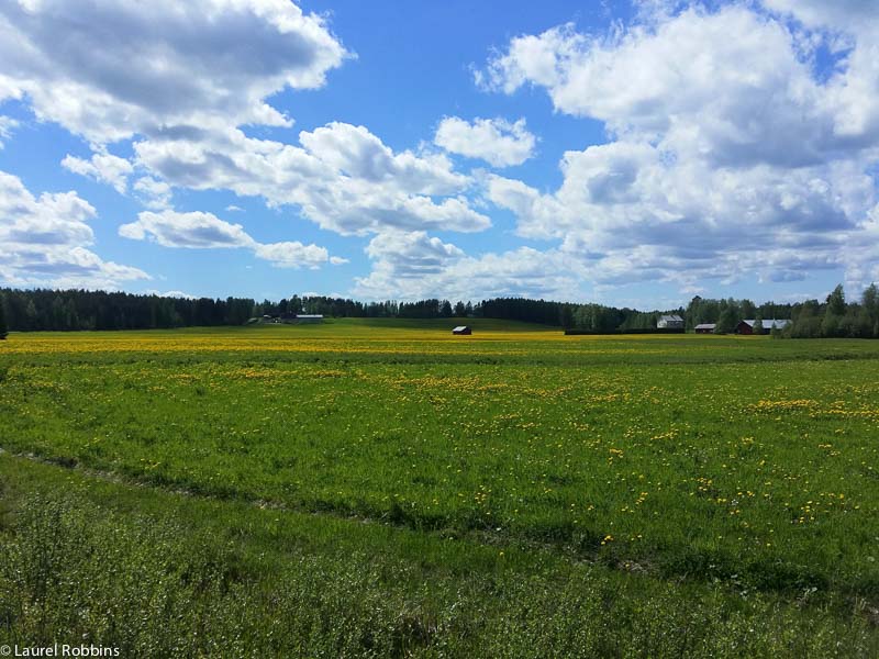 paisaje del este de Finlandia, visto mientras se recorre en bicicleta el sendero del Telón de Acero