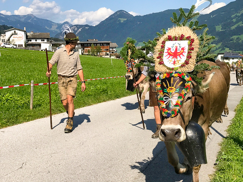 Almabtrieb se lleva a cabo en Zillertal y otras áreas alpinas en Austria, Alemania y Suiza.