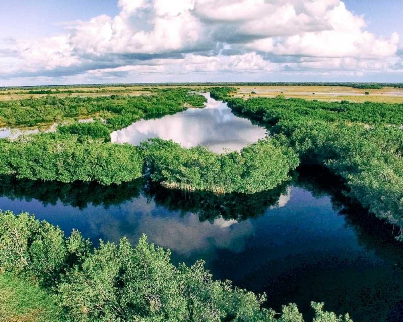 Cosas que hacer en los Everglades