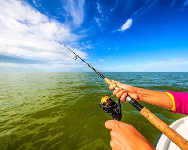 La pesca es una gran cosa que hacer cuando en los Everglades