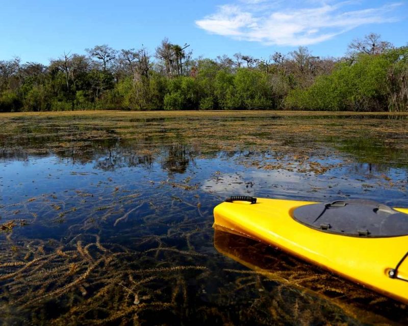 Kayak es una de las mejores cosas para hacer en los Everglades