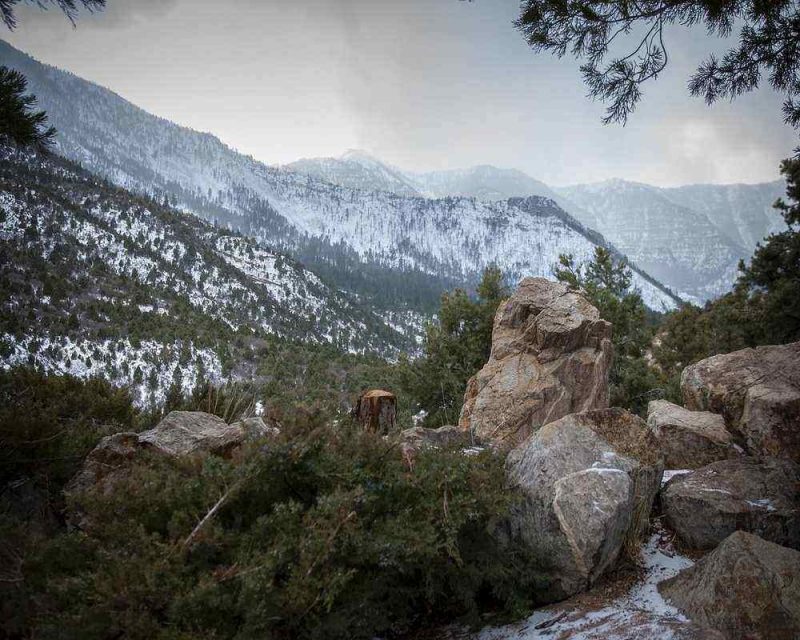 Mount Charleston está cerca de Las Vegas y ofrece un paisaje muy diferente de lo que cabría esperar.