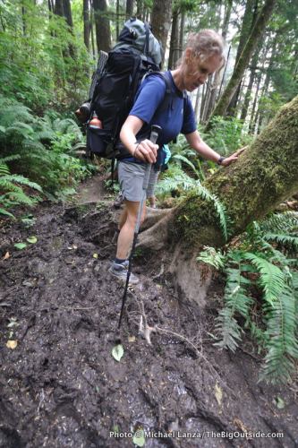 Barro en el sendero terrestre alrededor de Hoh Head, a lo largo de la costa olímpica de Washington.