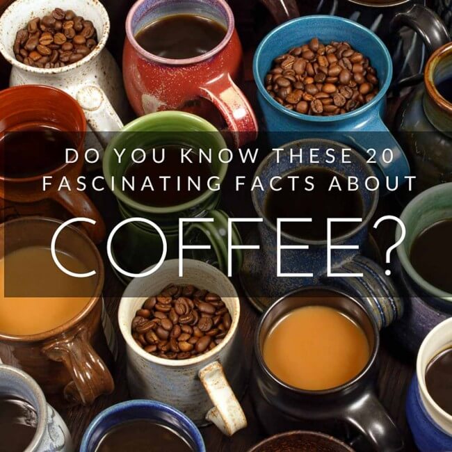 20 datos sobre el café que todo conocedor debe saber