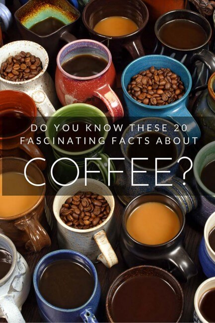 20 datos sobre el café que todo conocedor debe saber