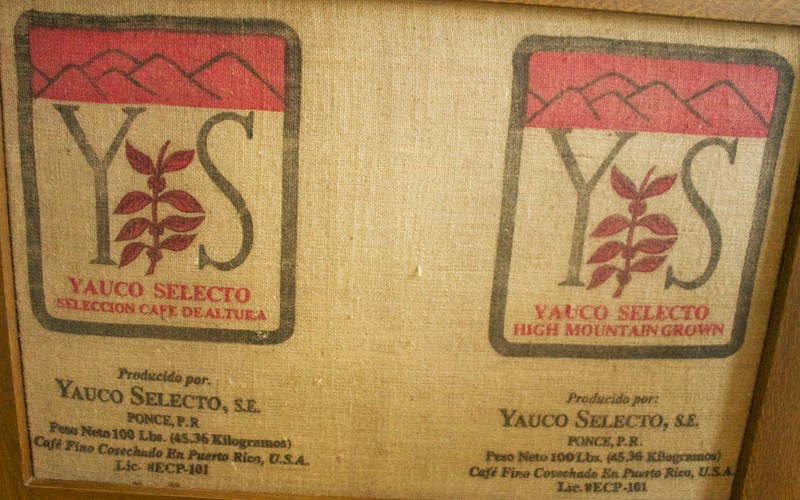 El café se cultiva a lo largo del ecuador y algunos de los más populares son los de alta montaña.