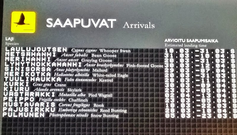 Me encantó ver la llegada de especies de aves por fecha en el Centro de Visitantes de Liminganlahti.