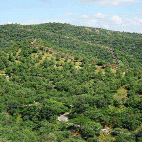 Paseos en globo aerostático