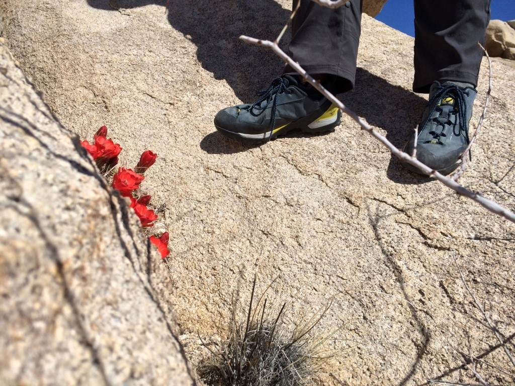 Revisión de los zapatos de aproximación Five Ten Camp Four: si bien este es un zapato duradero para moverse por Joshua Tree, nosotros...