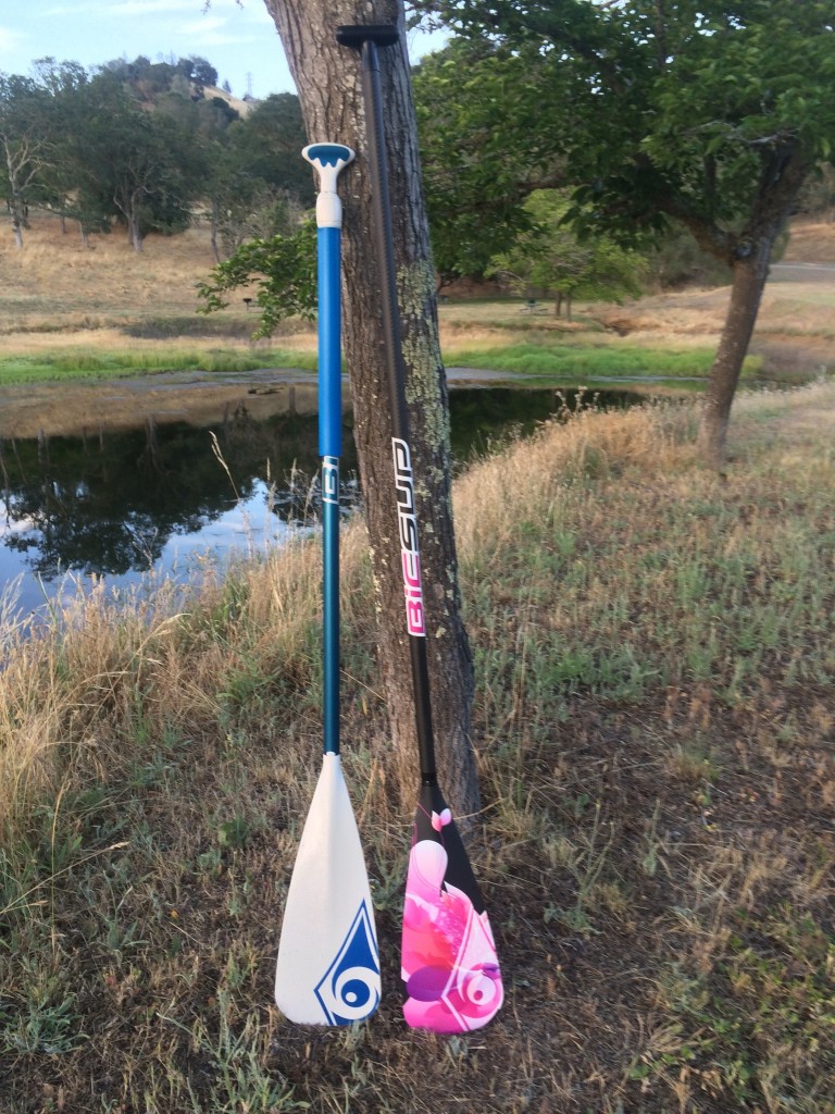 Revisión del remo de ap sup original de bic sup: los dos modelos de bic sup que probamos, el ap original de la izquierda y el...