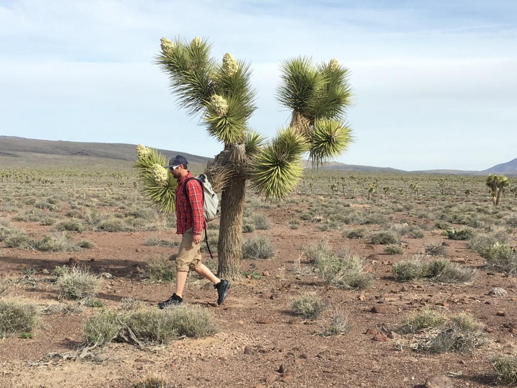 Revisión de los zapatos para caminar hoka toa gore-tex para hombres: ideales para caminatas de un dĆa y para viajes mĆ”s largos, el toa nos lleva...