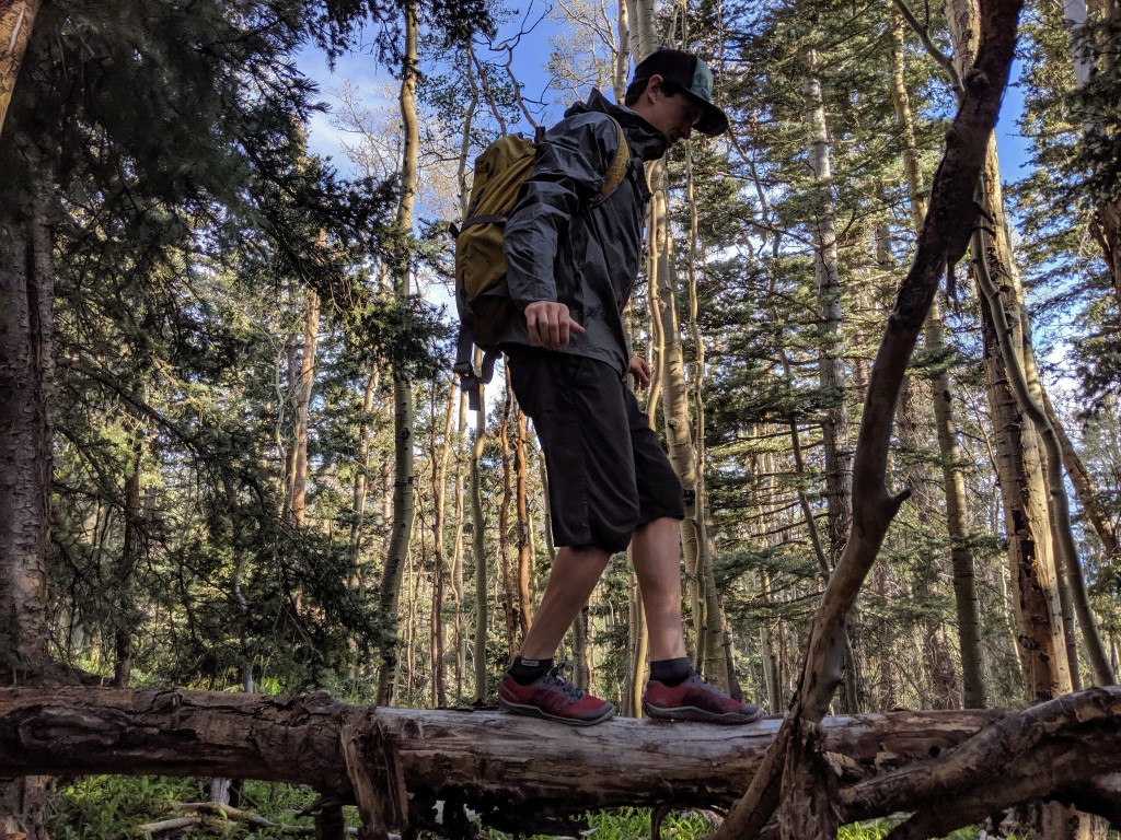 Revisión de los zapatos descalzos Merrell Trail Glove 5: con su construcción liviana y suela con agarre, disfrutamos...