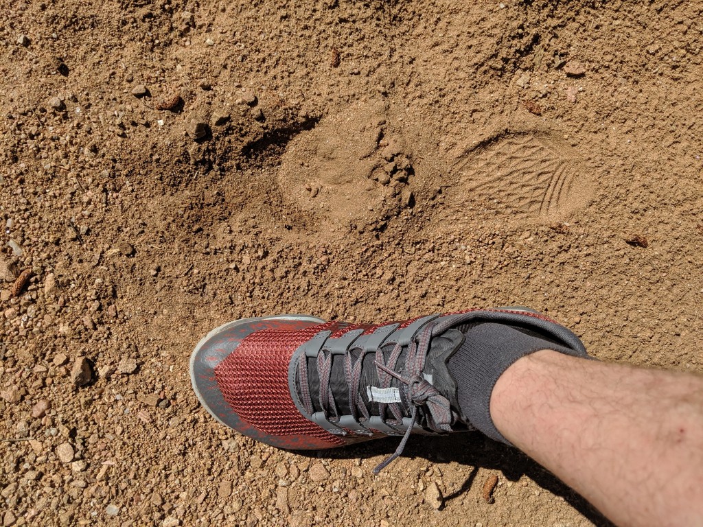 Revisión de los zapatos descalzos Merrell Trail Glove 5: contacto uniforme con el suelo en el talón y el antepié, pero no mucho...