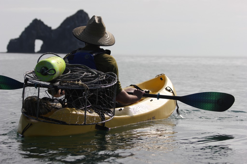 Revisión del remo de kayak de vidrio Pungo de Wilderness Systems: este remo serÔ adecuado para una amplia variedad de remeros debido a...