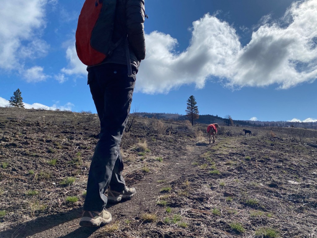 Revisión de zapatos de senderismo Keen Ridge Flex impermeables para mujer: el caucho y el cuero son pesados āāpero lo convierten en un zapato duradero que...