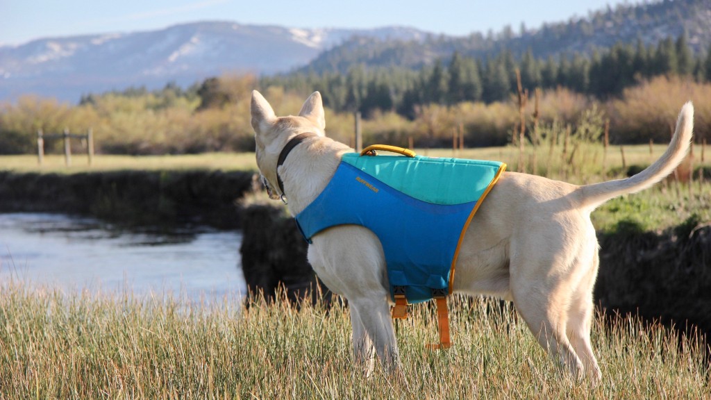 Revisión del chaleco salvavidas ruffwear float coat: una opción cómoda y prÔctica, esta chaqueta se destacó por todos lados.