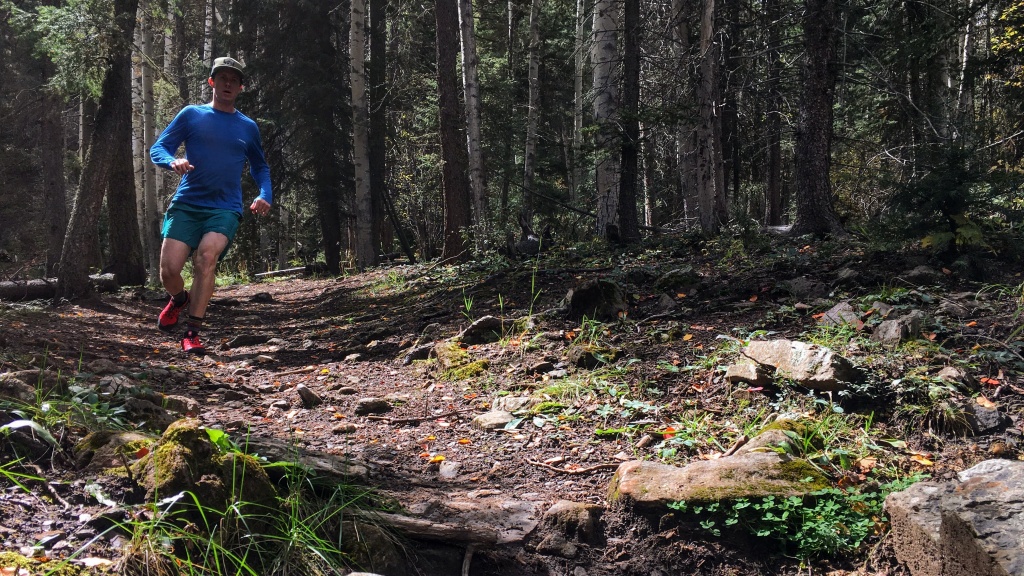 Revisión de las zapatillas de trail running Salomon Pulsar Trail para hombre: siéntete libre de realizar nuevas carreras a toda velocidad, sabiendo que tienes...