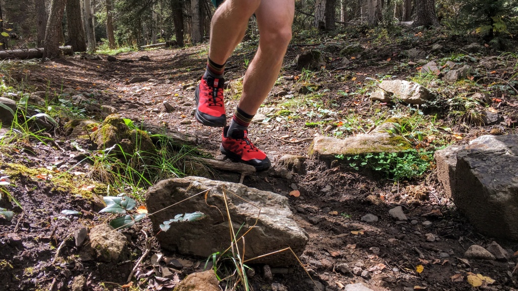 Revisión de las zapatillas de trail running Salomon Pulsar Trail para hombre: fÔcilmente una de las zapatillas mÔs estables que hemos encontrado en mucho tiempo...