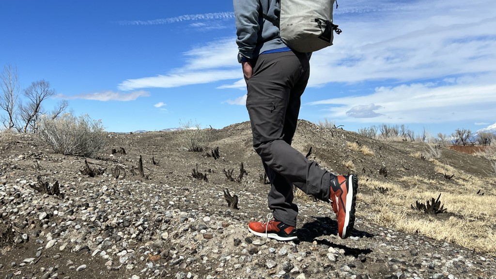 Revisión de las botas de montaña Altra lone Peak all-wthr mid 2 para hombre: las altra all wthr proporcionan un buen soporte para el tobillo y un impacto adecuado...