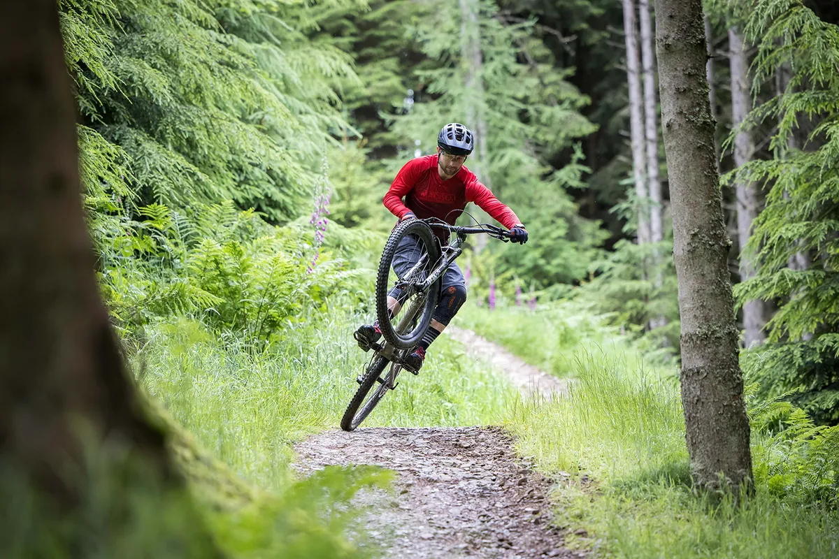 Bicicleta de montaƱa Specialized Stumpjumper Alloy Comp Bicicleta de montaƱa Specialized Stumpjumper Alloy Comp