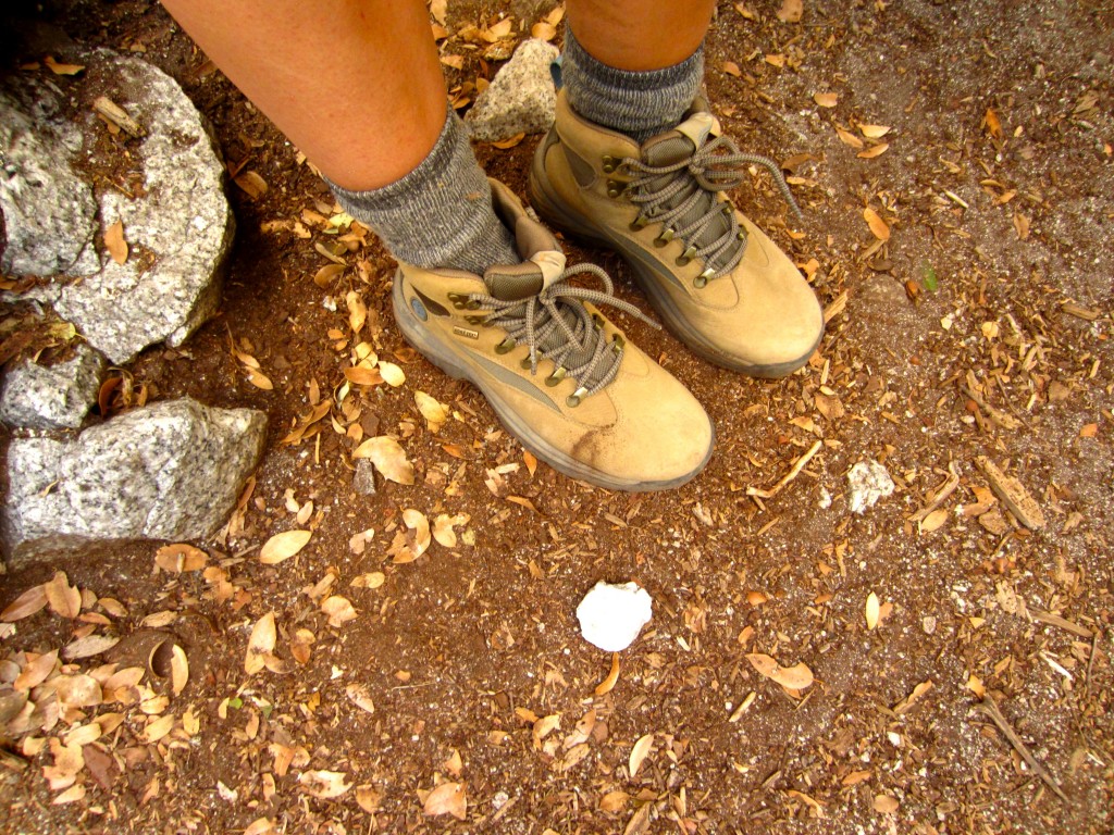 Revisión de botas de montaña Timberland Chocorua Trail Mid GTX para mujer: se presentan caminatas por el parque nacional de Yosemite y construcción de senderos...