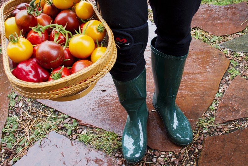 Revisión de botas de lluvia ugg shaye para mujer: llevar tomates con confianza desde la cúpula geodésica a la casa en...