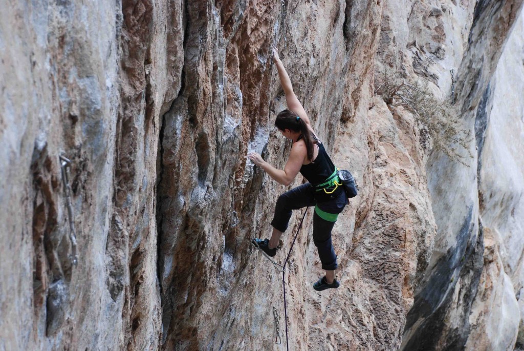 Revisión del arnés de escalada arc'teryx fl-355 para mujeres: ¡este arnés es muy popular y también muy caro! tiene algunos...