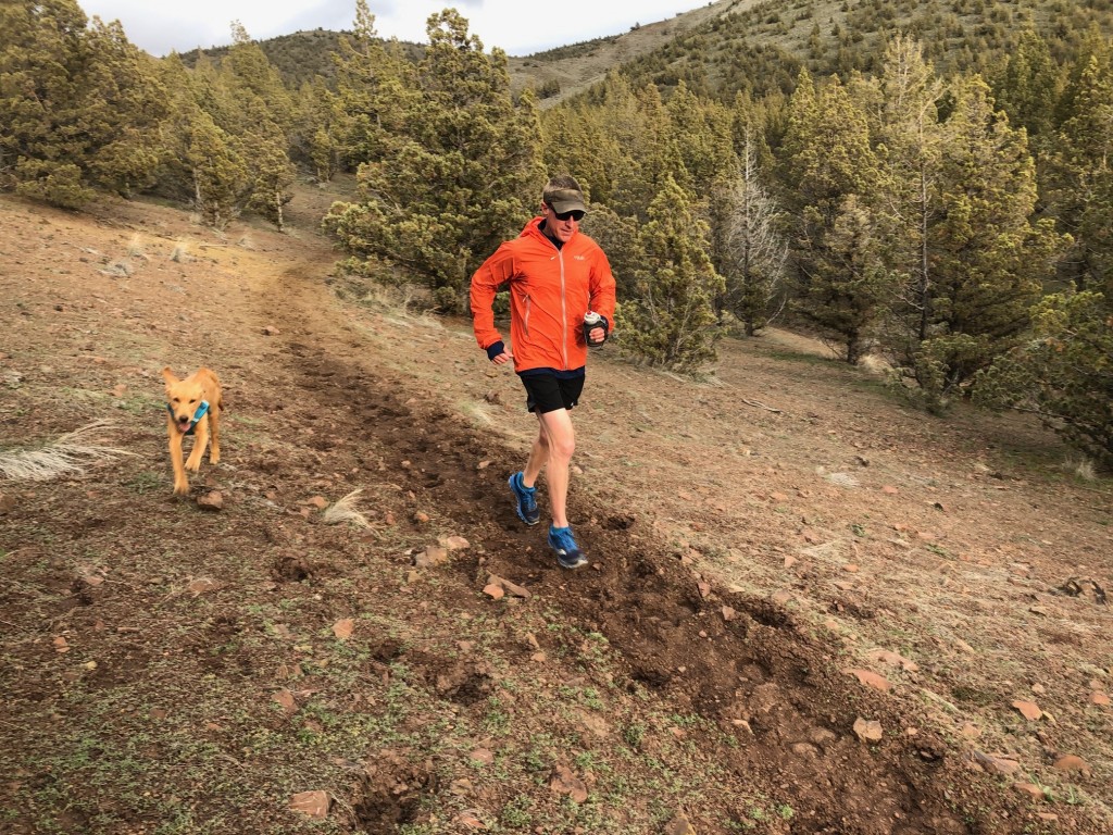 Revisión de las zapatillas de trail running saucony peregrine iso para hombre: correr por este sendero que ha sido recientemente demolido por caballos...