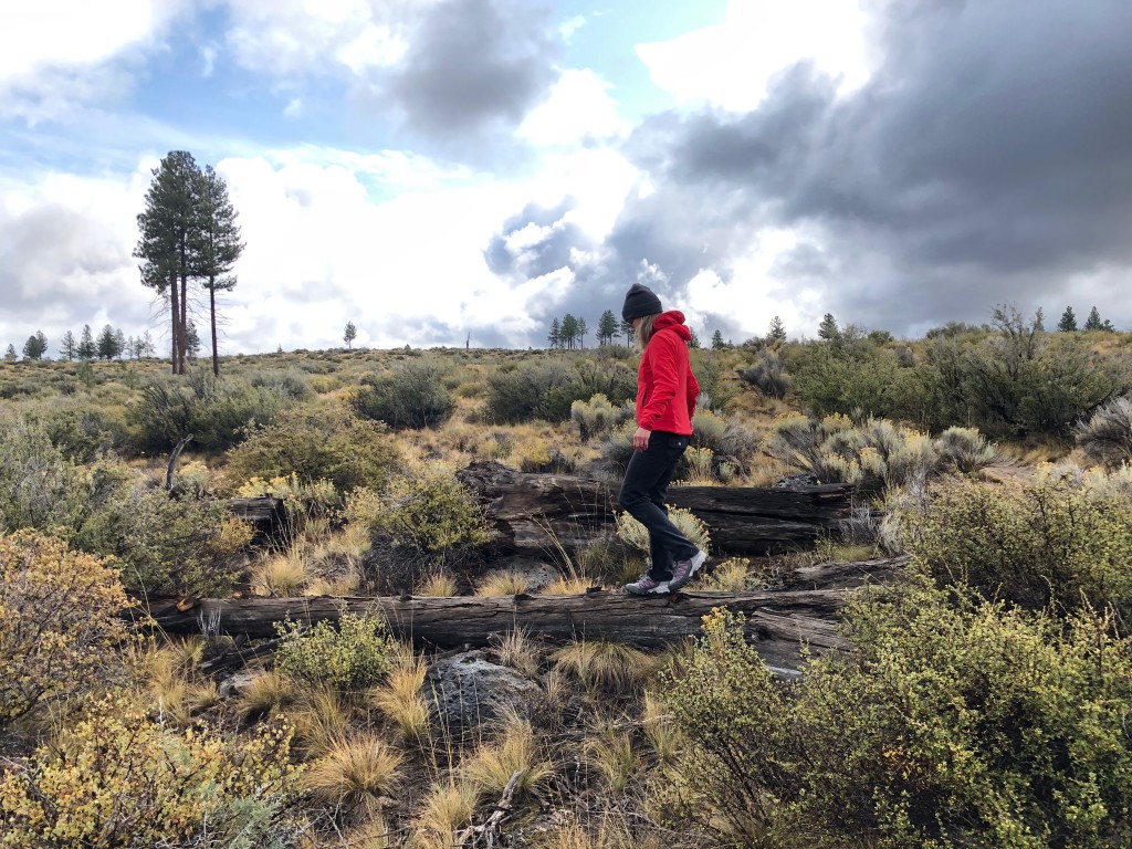 Revisión de los zapatos de senderismo North Face Ultra 110 GTX para mujer: prueba de tracción en un tronco mojado.