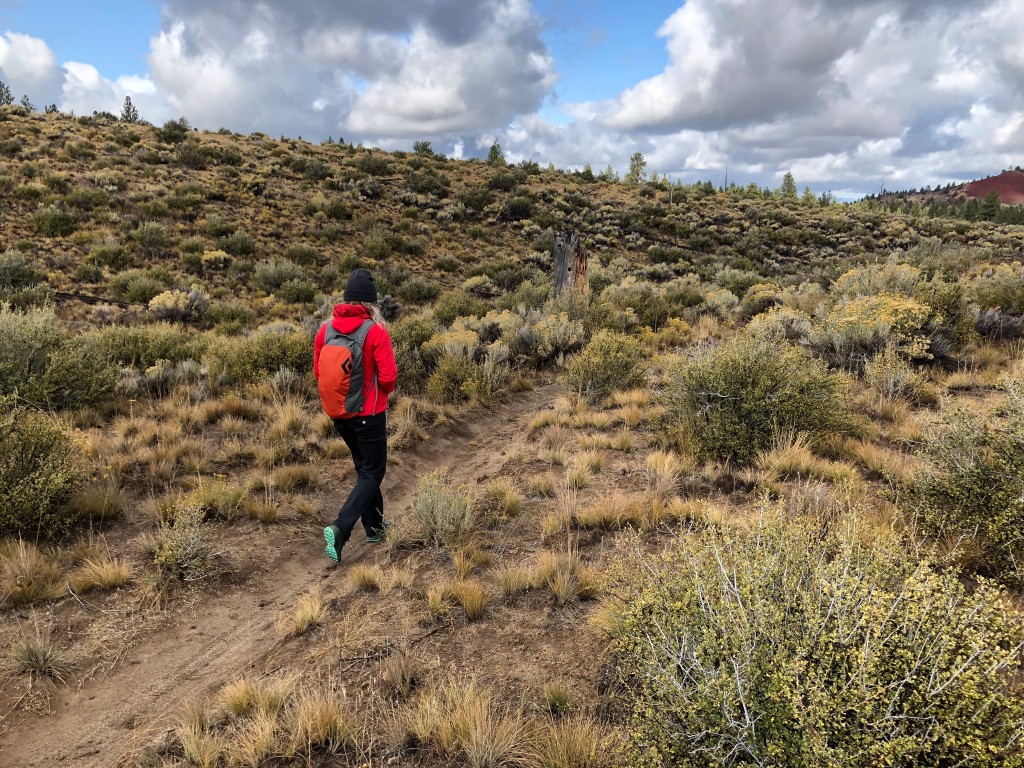 Revisión de zapatos para caminar arc'teryx aerios fl gtx para mujer: nuestra mejor elección por ser livianos y rÔpidos, este zapato funcionó bien en...