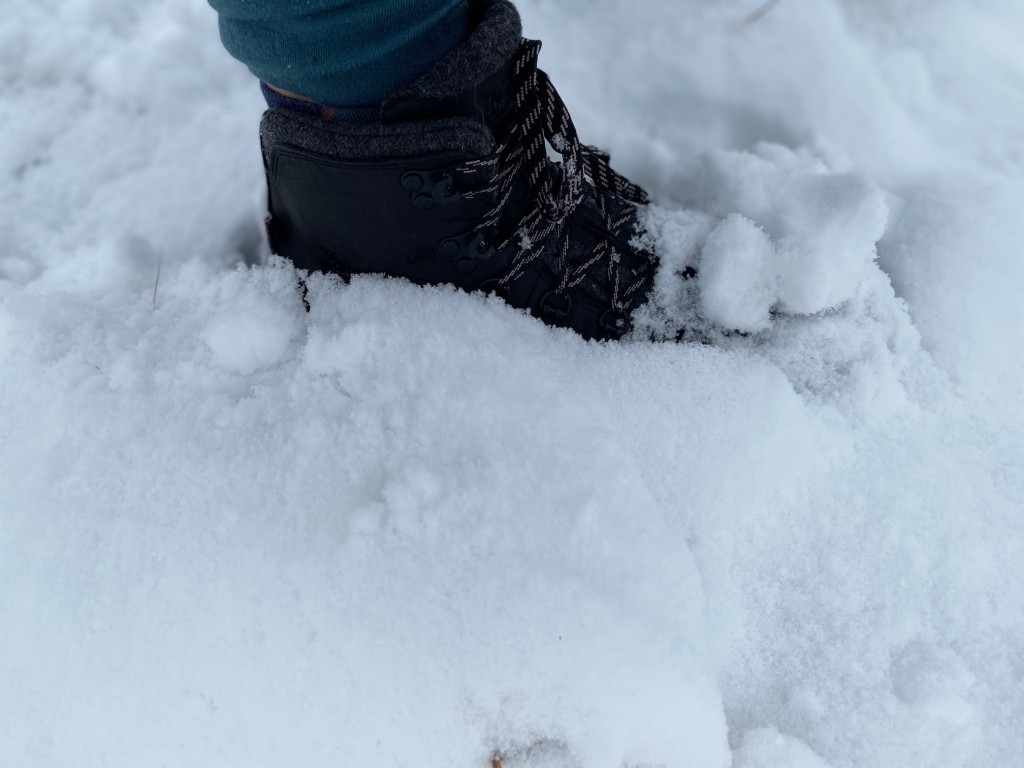 Revisión de botas de invierno con aislamiento Danner Mountain 600 para mujer: Āænieve frĆa? No hay problema, esta bota de montaƱa ofrece mucha calidez.