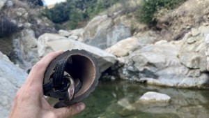 Si bien no es tan flexible como algunas, esta suela delgada sigue siendo bastante flexible.