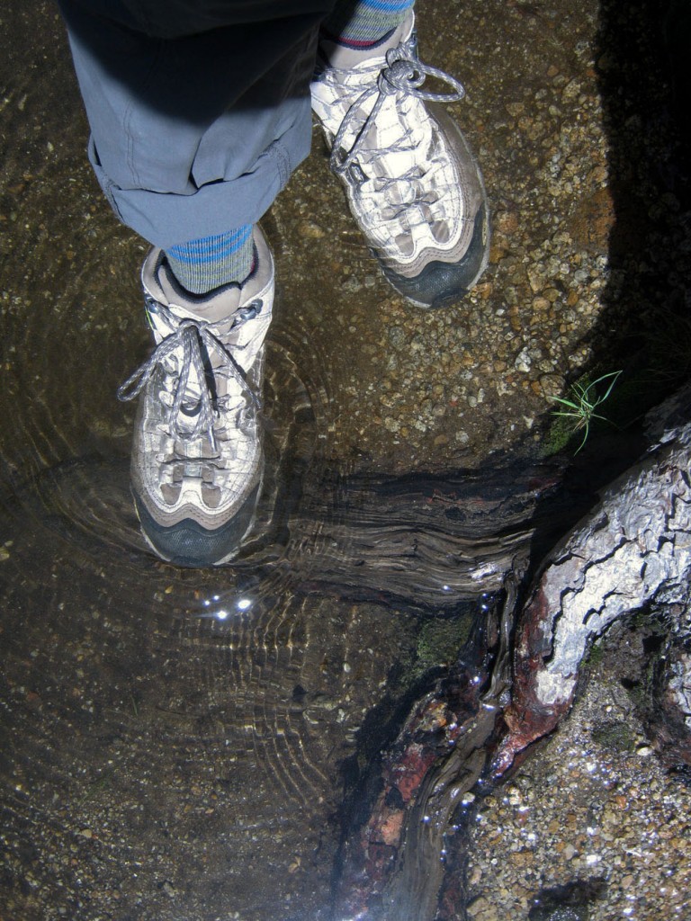 Revisión de zapatos de senderismo Oboz Yellowstone para mujer: Oboz Yellowstone con su forro Oboz Bdry tuvo un desempeño sorprendentemente bueno en...