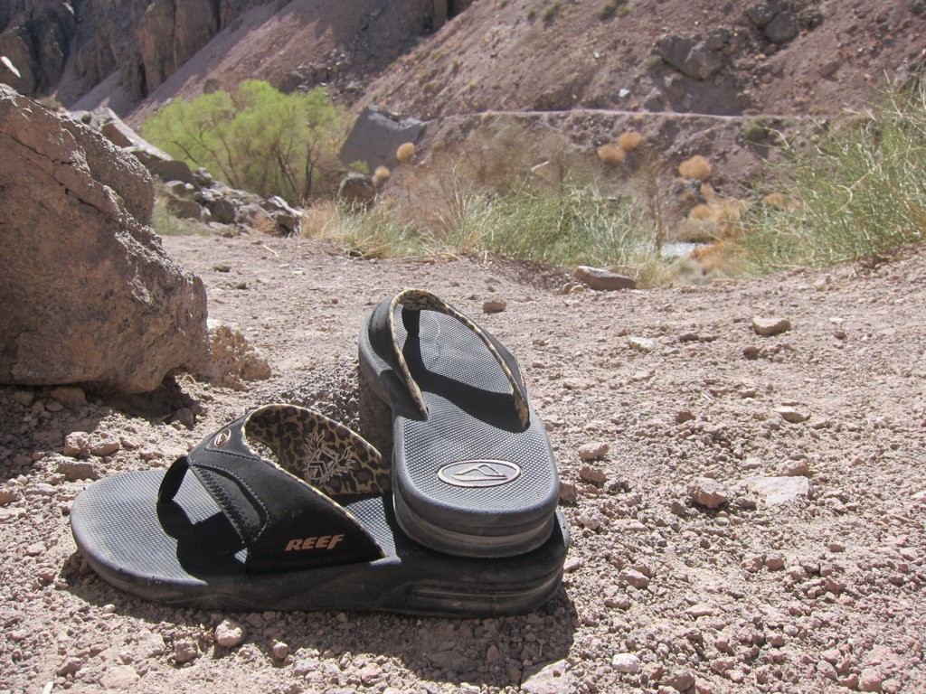 Revisión de las chanclas con abanico para mujer Reef: nos gusta el sutil forro con estampado de leopardo en las chanclas con abanico para mujer. este...