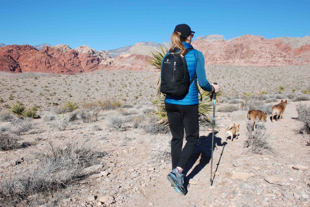 Revisión de los zapatos de senderismo North Face Hedgehog Fastpack GTX para mujer: salir a caminar con los perros.