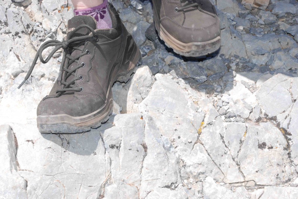 Revisión de zapatos de senderismo lowa renegade gtx lo para mujer: este par deberĆa durar cientos de millas. la entresuela de pu no...