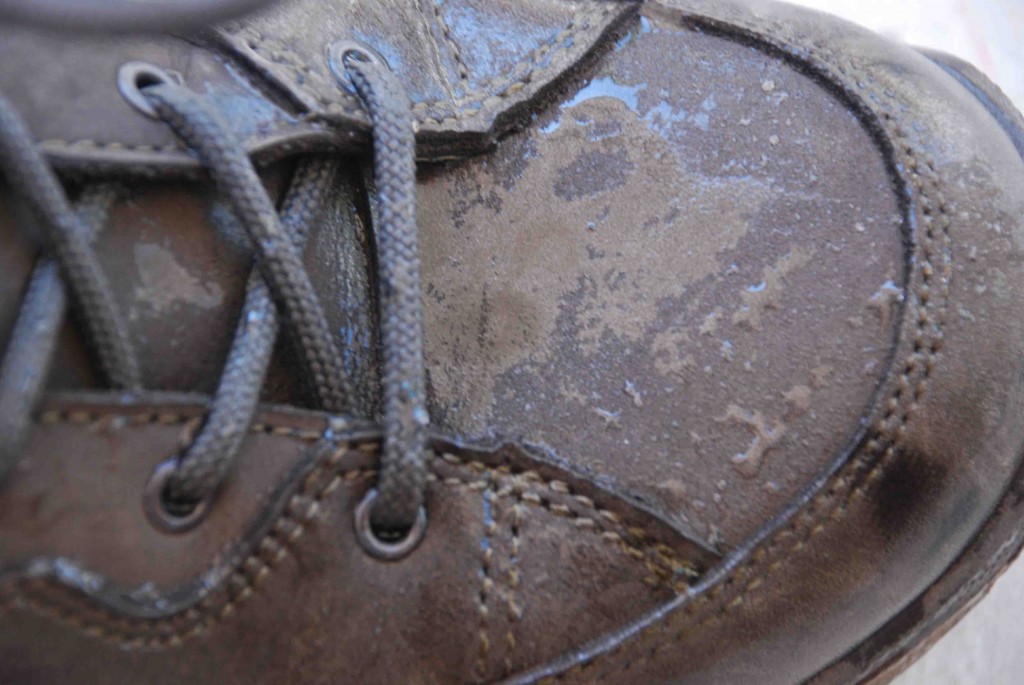 Revisión de zapatos de senderismo lowa renegade gtx lo para mujer: incluso después de estar sumergidos durante diez minutos, el cuero se desprende...