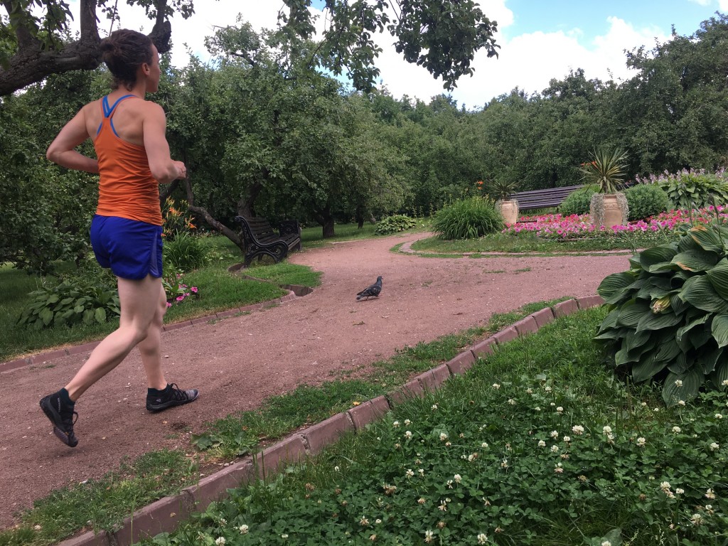 Revisión de zapatos descalzos de punto Merrell Trail Glove 4 para mujer: palomas mensajeras en el parque Kolomenskoye, Moscú, Rusia.